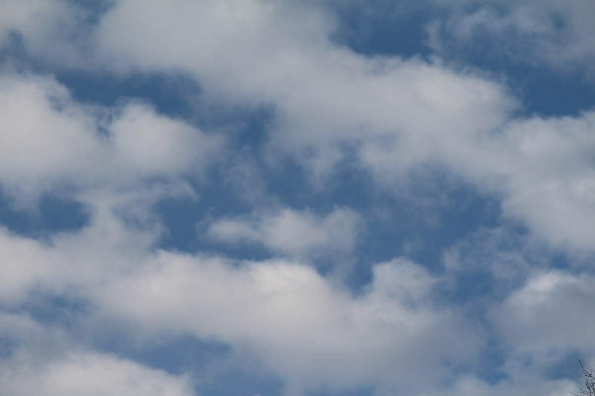 cloud gaming